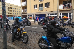 2016-07-30-Bikerkino-IMG_4985-(2)